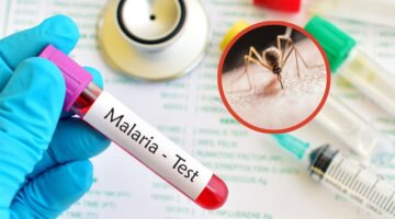 Día de la Malaria en las Américas: OPS pide acelerar la eliminación de la enfermedad para 2030