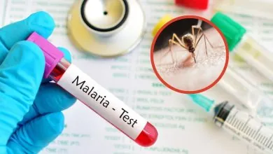 Día de la Malaria en las Américas: OPS pide acelerar la eliminación de la enfermedad para 2030