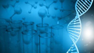 Diseñan mecanismo que permite secuenciar el genoma en menos de ocho horas