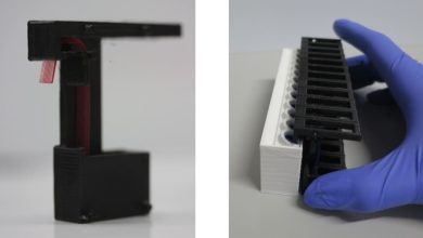 Diseñan método portátil para detectar casos de dengue