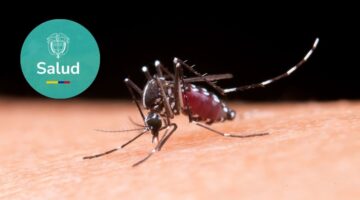 Dosis de refuerzo de la vacuna contra fiebre amarilla en Colombia a quién aplica y qué exige la Emergencia Sanitaria por el brote