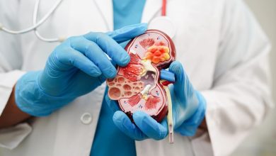 Cáncer de riñón: una mirada detallada a esta enfermedad y su impacto en la salud