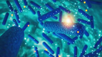 En Reino Unido crearon antibióticos sintéticos de bajo costo y de gran potencial