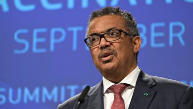 Ensayo Solidaridad - El Mundo Investiga a toda prisa contra el Coronavirus