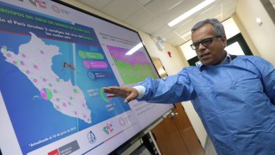 Epidemia de dengue en Perú identifican tres serotipos
