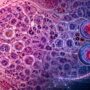 Estudio con IA encuentra dos estados distintos de anomalías celulares en cáncer de mama Estudio con IA encuentra dos estados distintos de anomalías celulares en cáncer de mama