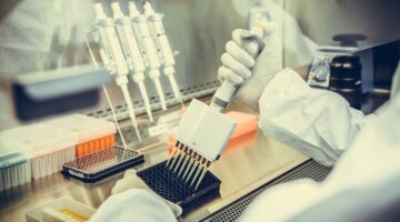 Exelixis Inverna trabajaran anticuerpos cancer