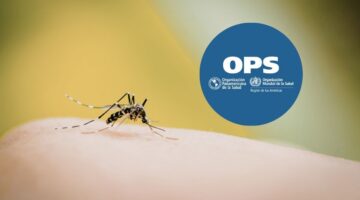 Fiebre amarilla en Sudamérica: OPS alerta por transmisión sostenida y expansión fuera de zonas tradicionales