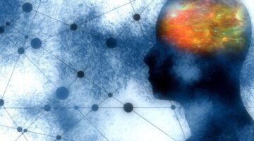 Formulación e implementación de la Política de Salud Mental