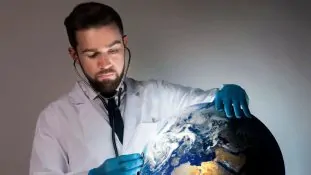 GPW 14 Así es la nueva estrategia de la OMS para transformar la salud mundial entre 2025 y 2028