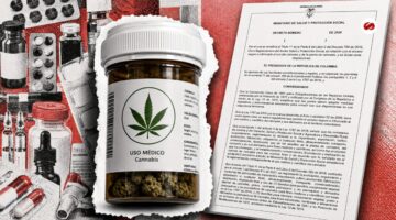 Giro clave Gobierno abriría por fases el mercado de flor de cannabis medicinal
