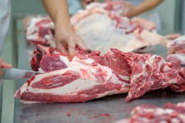 Gobierno emite decreto para reactivar mataderos municipales y reducir precios de la carne