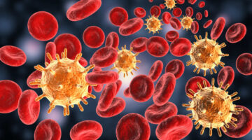 Hallan nueva cepa del VIH, posiblemente más virulenta