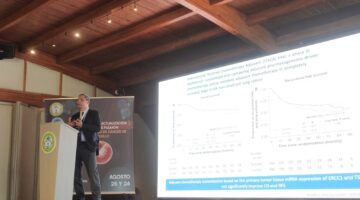 Hallazgos del estudio Impower010 adyuvancia en cáncer de pulmón