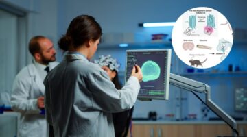 HaloDA1.0 nuevo sensor permite rastrear dopamina y redes neuroquímicas del cerebro en tiempo real