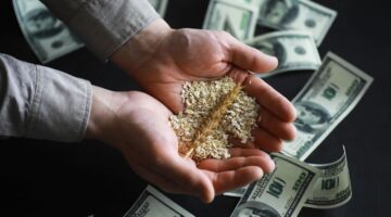 Hambre aguda si se recortan fondos al Programa Mundial de Alimentos (PMA): ONU