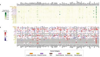 IA detecta pistas genéticas en cáncer ¿evoluciona la oncología de precisión