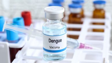 INS presenta avances en el desarrollo de vacunas contra el dengue