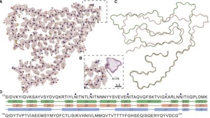 Identifican proteína implicada en múltiples enfermedades neurodegenerativas