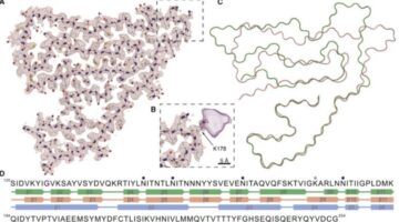 Identifican proteína implicada en múltiples enfermedades neurodegenerativas