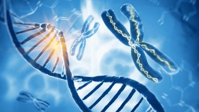 Investigadores crean el mayor atlas de mutaciones postcigóticas