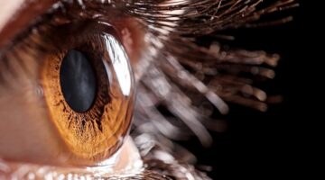 Investigan tratamiento potencial para la recuperación de pacientes con afecciones en la córnea