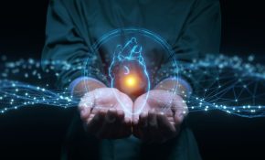 La IA revela una visión sin precedentes sobre la genética y estructura del corazón: avances revolucionarios en la investigación cardiovascular