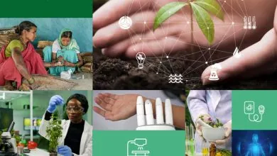 La OMS, la UIT y la OMPI trazan la hoja de ruta para integrar la inteligencia artificial en la medicina tradicional