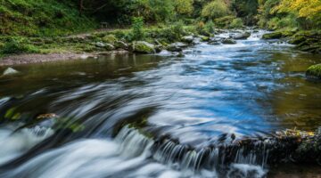 La cantidad de agua desperdiciada podría abastecer a cerca de 200 millones de personas