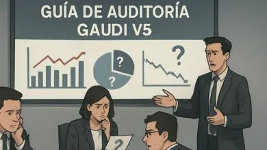Limitaciones en la evaluación de la Guía de Auditoría GAUDI v5. ¿qué está fallando