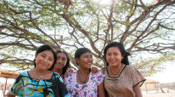 Lineamientos del Plan de Acción provisional para la población Wayuu