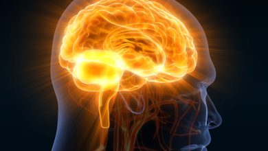 Lo que debes saber sobre la encefalitis inflamación del cerebro