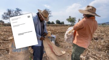 Medir la trata de personas con fines de trabajo forzoso: nueva estrategia estadística global liderada por la OIT