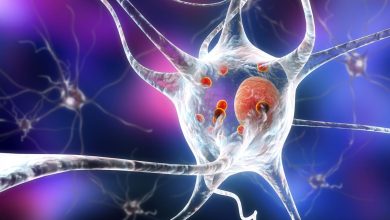 México: Tratamiento integral mejora calidad de vida de las personas con Parkinson