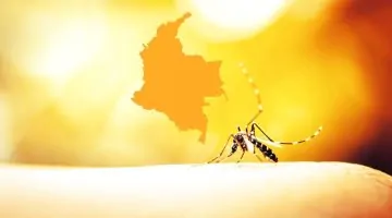 Minsalud confirma 79 casos de fiebre amarilla en Colombia Tolima y Putumayo, los más afectados