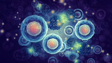 Mutaciones en cáncer serían incitadas por la enzima APOBEC3A