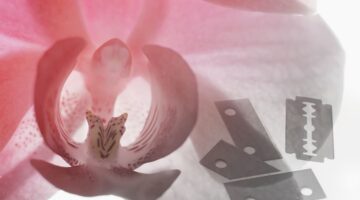 Mutilación genital femenina, Senegal lucha por un cambio duradero