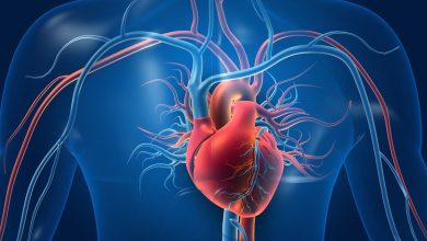 NO-ferrohemo, nueva molécula de señalización que beneficia la salud vascular