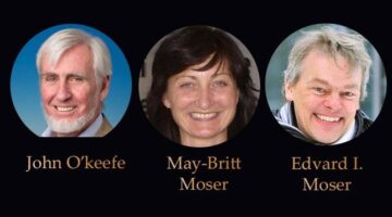 Premio Nobel de Medicina 2014 para descubridores del “GPS interno”