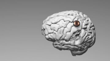 Neuralink lista para probar sus chips cerebrales en humanos
