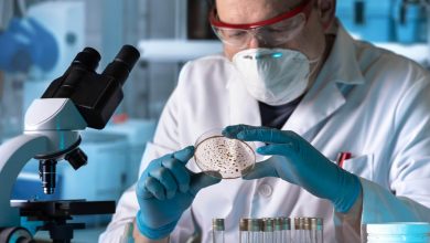 Nuevo hallazgo ayudaría a combatir infecciones resistentes a antibióticos
