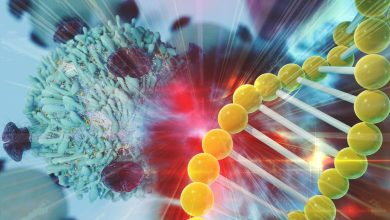 Nuevos hallazgos en mutación detectada en cánceres ginecológicos