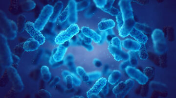 OMS define 40 prioridades de investigación sobre resistencia antimicrobiana