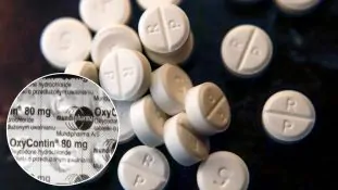 OMS emite alerta global por falsificación de OxyContin: alto riesgo de sobredosis y efectos adversos severos