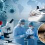 OPS coordina respuesta internacional ante brote de hantavirus implicaciones para la vigilancia