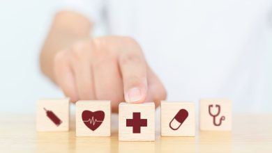 Parte II – Resolución 100 de 2024: Plan Territorial de Salud