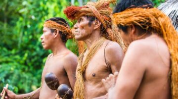 Plan decenal 2021 comunidades indígenas