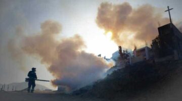 Por 11 mil casos de dengue Minsa prepara declaratoria de emergencia sanitaria