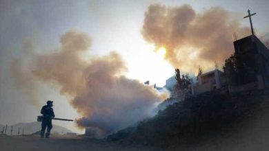 Por 11 mil casos de dengue Minsa prepara declaratoria de emergencia sanitaria