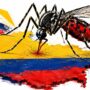 Dengue en Colombia se ubicó en situación de brote: 14 territorios superaron lo esperado